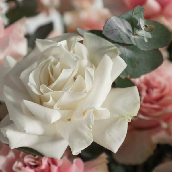 Flower box #5 - Image 2