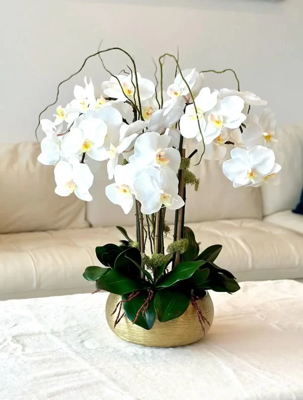 Plant arrangement (orchids) #12